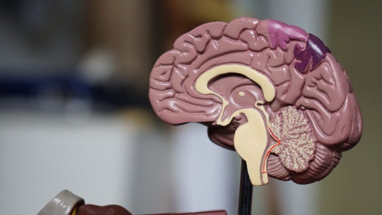 Roche obtient l&rsquo;approbation européenne pour le premier test sanguin de la maladie d&rsquo;Alzheimer, une avancée diagnostique majeure