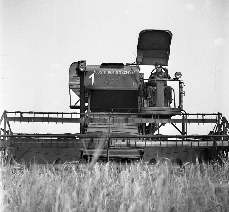 Agriculture blé récolte