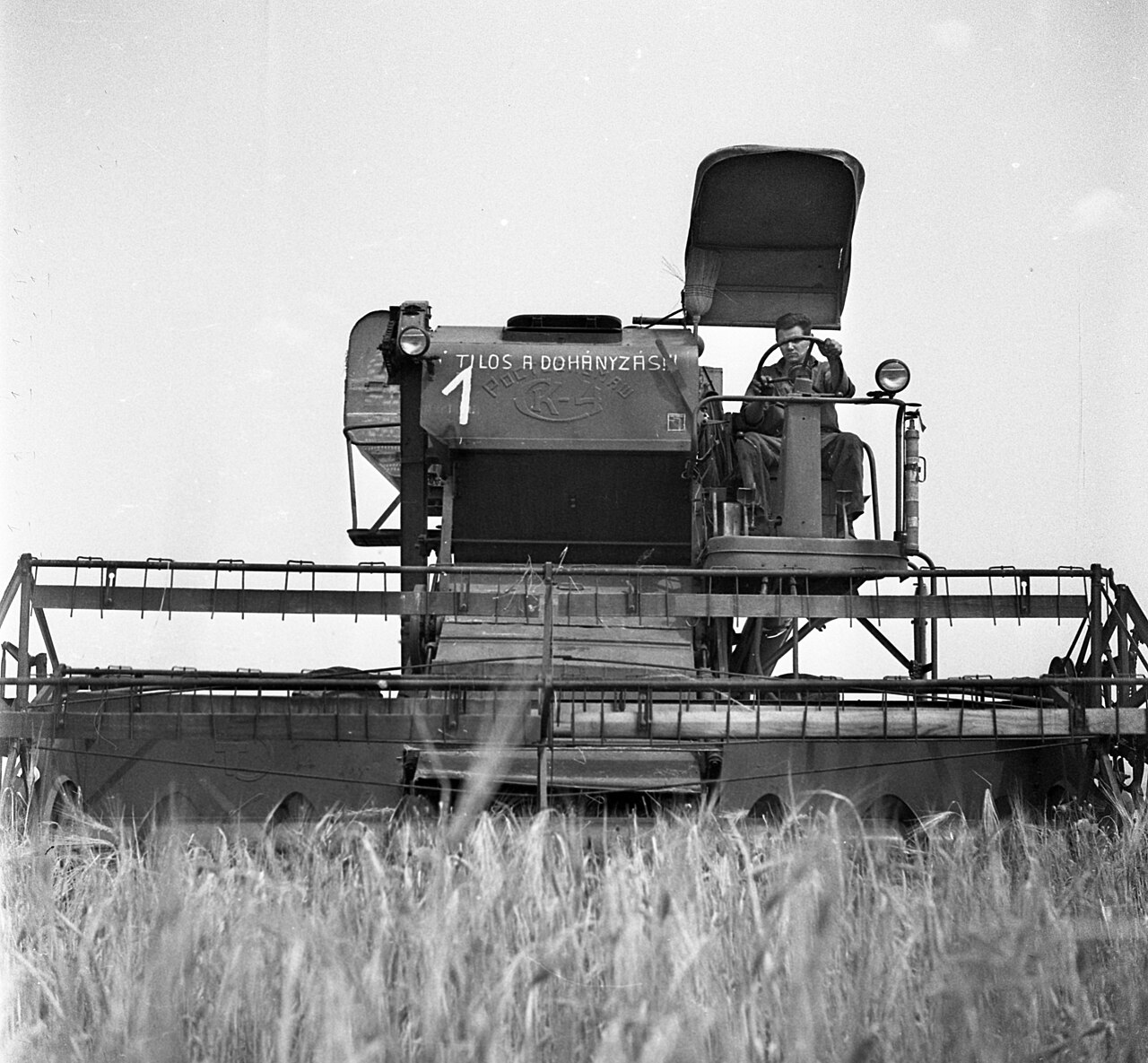Agriculture blé récolte