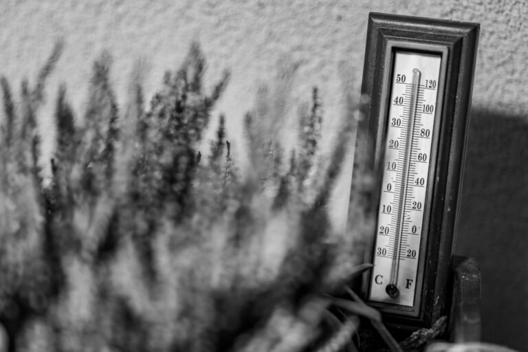 Canicule en France : 35 millions de Français en vigilance rouge