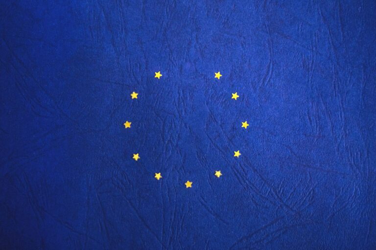 La Commission européenne durcit les sanctions contre les employeurs de travailleurs sans papiers dans les États membres