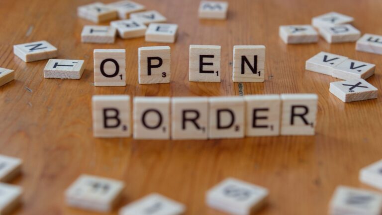 Immigration en France : entre tensions politiques et besoin vital