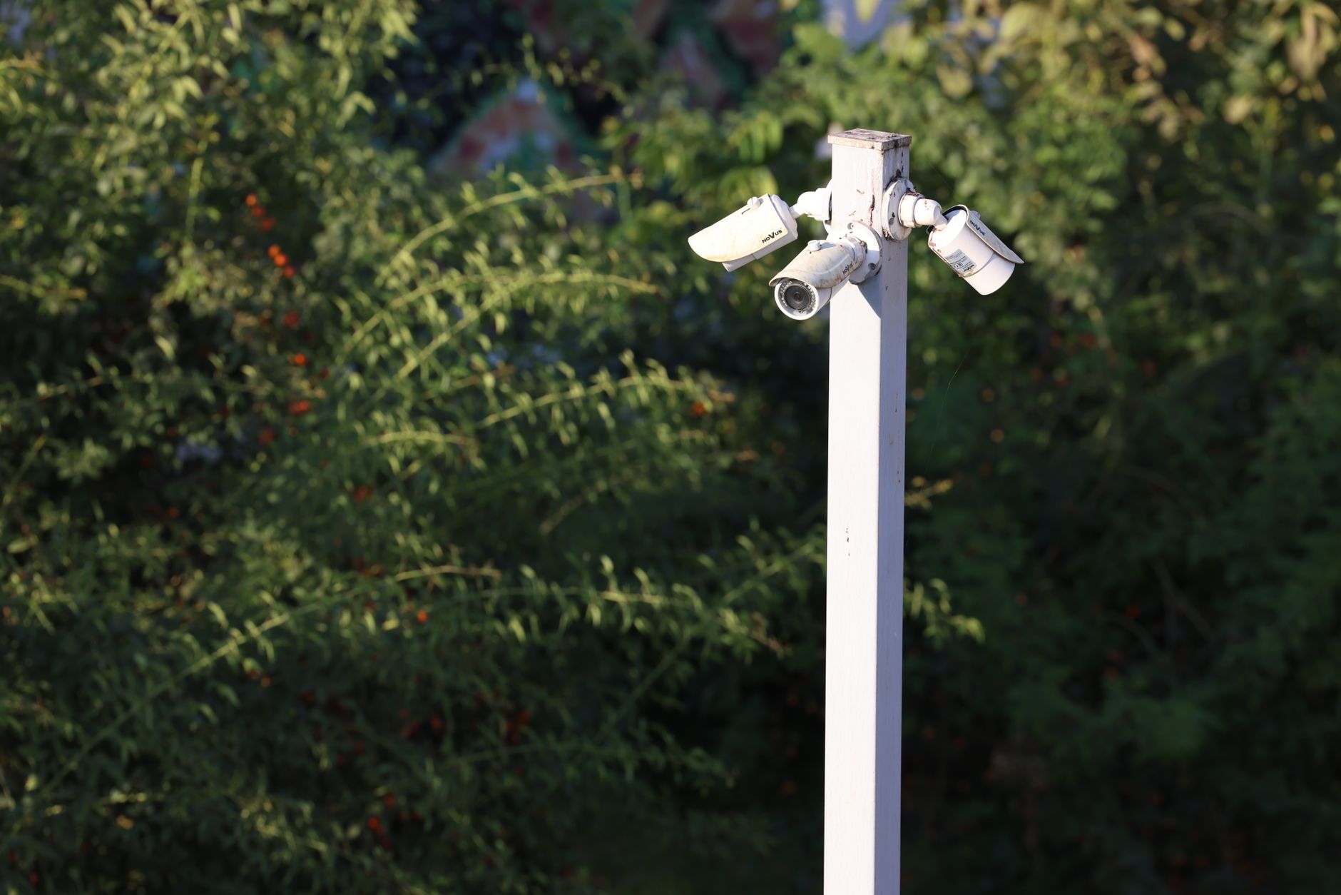 Surveillance cameras outdoors security