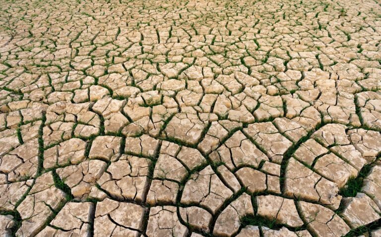 Canicule en France : festivals annulés et coupures d&rsquo;eau frappent les habitants