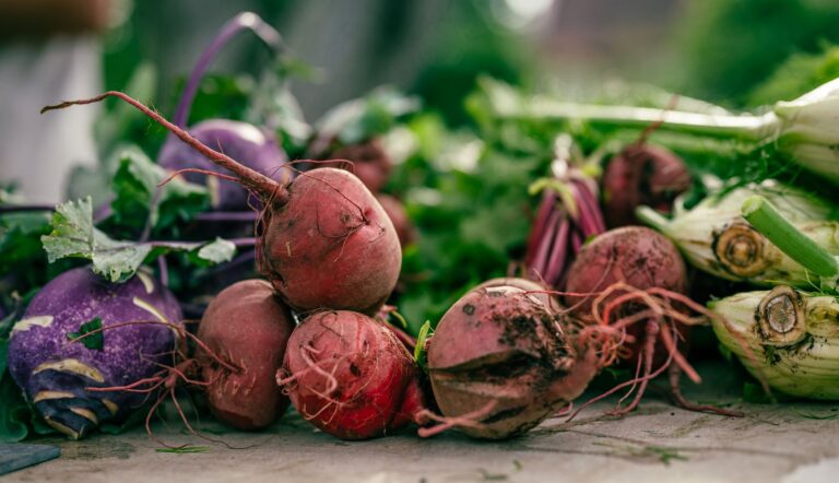 Transition alimentaire : et si notre assiette décidait de tout ?
