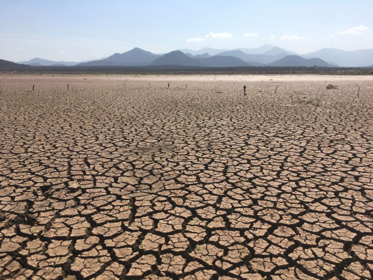 Canicules en Inde : 30 000 morts en cinq jours, un bilan apocalyptique