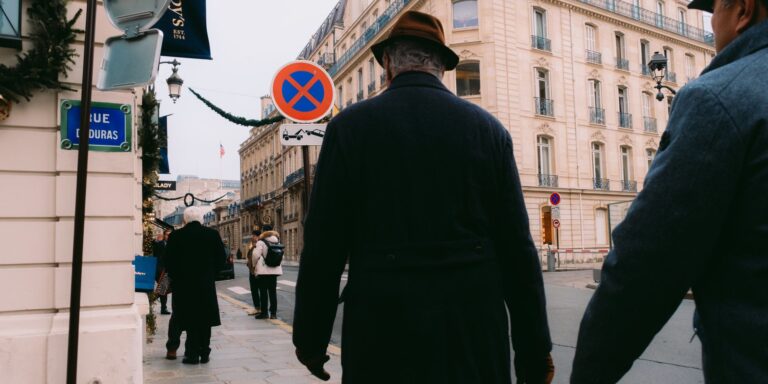 Crise démocratique en France : le pays à la croisée des chemins