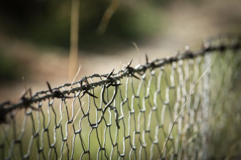 Crise migratoire de Ceuta : le débat espagnol enflamme la France