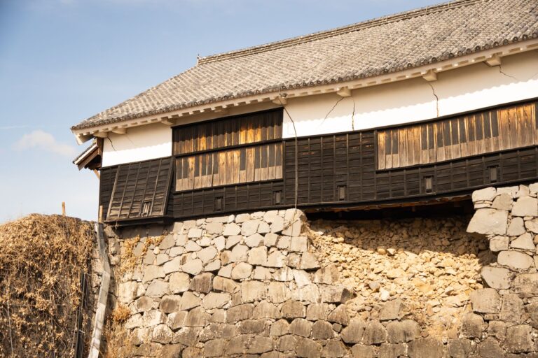 Séisme de magnitude 5,9 au Japon : plus de 30 blessés près de Tokyo