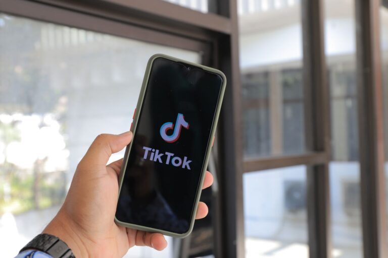 Présidentielle 2027 : TikTok s&rsquo;impose comme arène politique incontournable